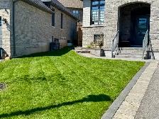 lawn care - Photo 5