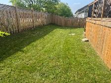 lawn care - Photo 6