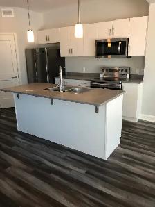 1243 Max Cr 3 br/2.5 bth semi. Great location $2700 - Photo 11
