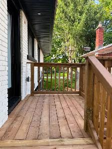 Brand New 3 Bedroom 2 Bathrm Laundry 2 Parking Alta Vista - Photo 10