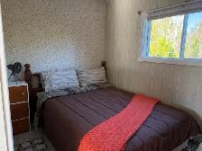 0 Square Pond Rd, Gambo - Photo 5