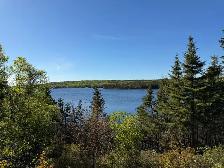 0 Square Pond Rd, Gambo - Photo 10
