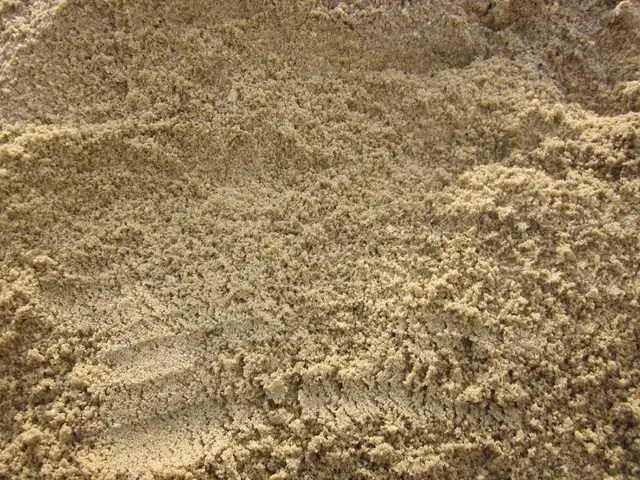 Free Sand for pickup NE Calgary