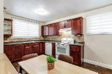 OPEN HOUSE SATURDAY - Rental Potential! - Parking for 5 Cars! - Photo 3