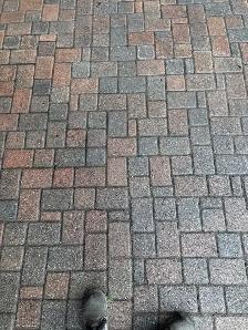 Paver Stones - Photo 5