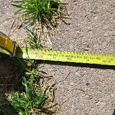 2 calverts - Photo 5