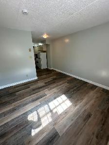 Bachelor Available in July Minnow Lake - Photo 4