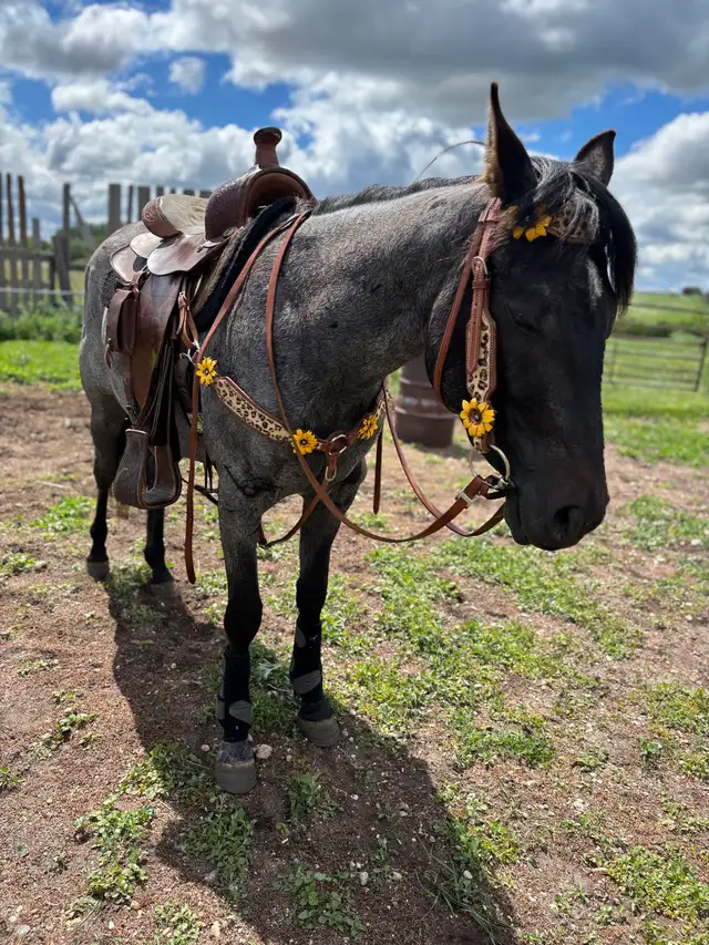 KD STREAKN BLUE