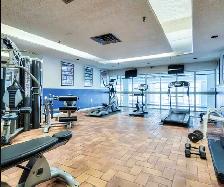 Walk to UTSC!Female Only Room for Rent – from Jul.1 - Photo 4