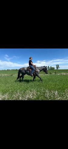 KD STREAKN BLUE - Photo 6