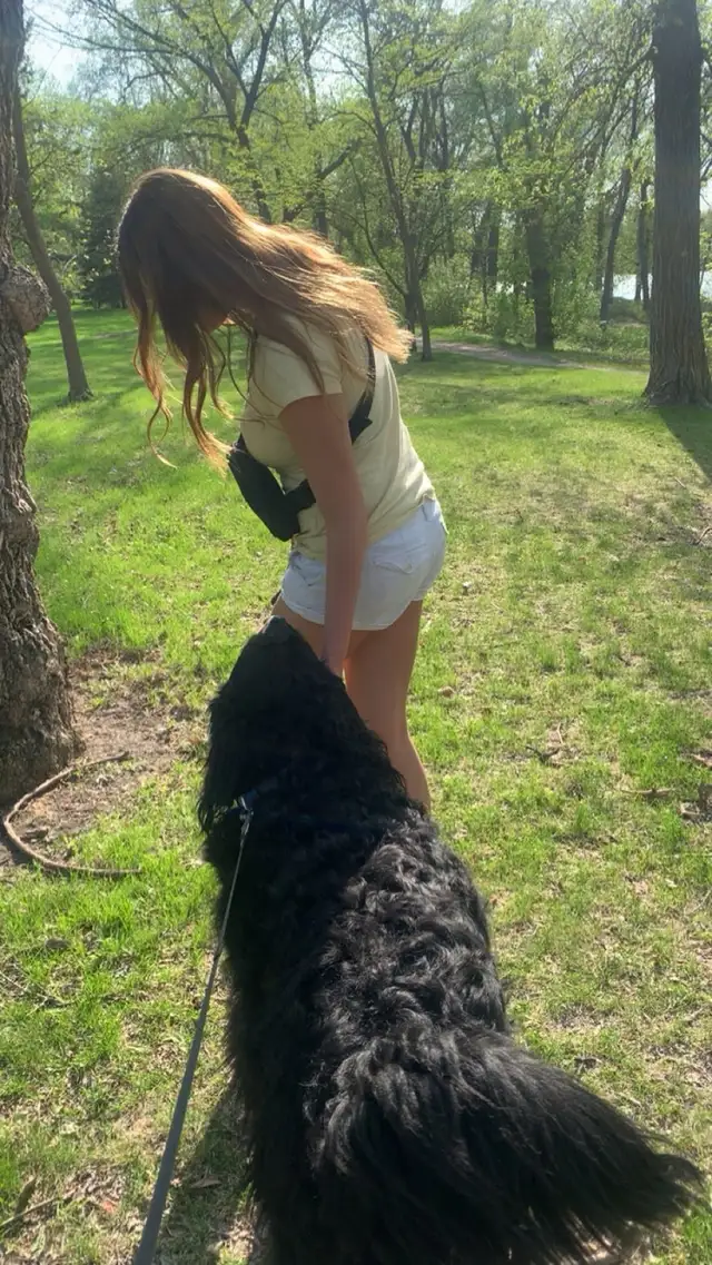 experienced dog walker