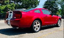 2009 Ford Mustang  – Exceptional Condition - Photo 5