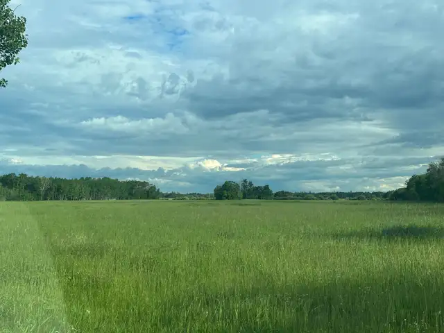 Land For Rent