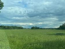 Land For Rent