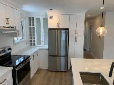 Reface/Paint- Thermofoil, Maple wood Doors - Photo 5