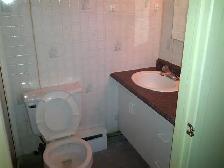 Bachelor in Basement for Rent - Photo 5