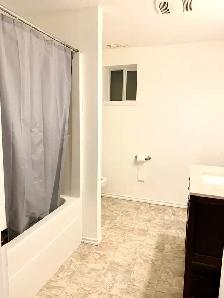 3 bedroom 1 bath suite-available August 1st - Photo 4