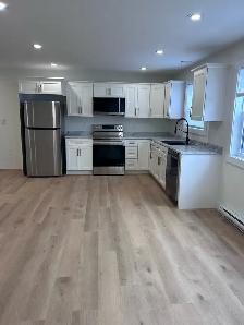 2 Bedroom 1 Bath Apartment - Photo 3