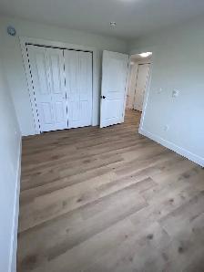 2 Bedroom 1 Bath Apartment - Photo 7