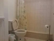 Clean One Bedroom Main Floor Apartment - Photo 4
