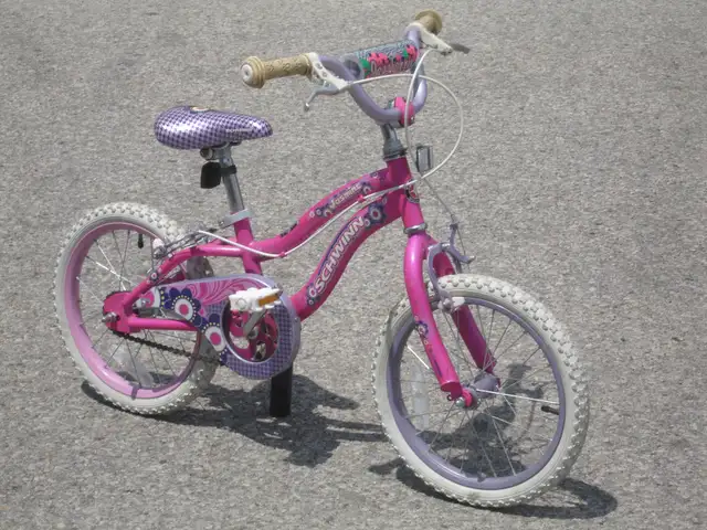 GIRLS 16' SCHWINN JASMINE ONE SPEED MTB BIKE FIRST $45.00 CASH!