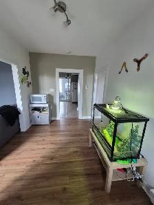 4 1/2 à louer Quebec ( vanier ) - Photo 2