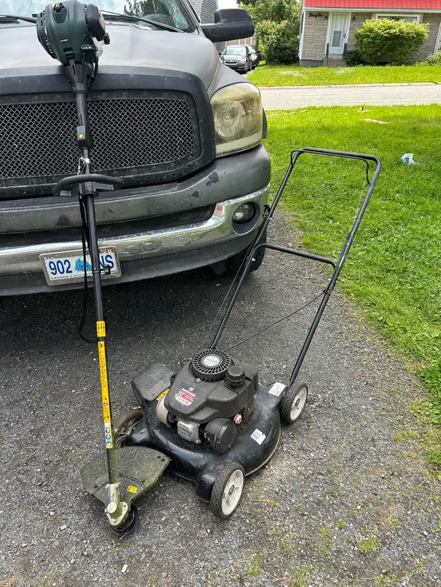 lawn mowing and whipper snippet services