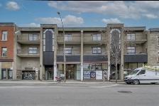 4 1/2 À LOUER/FOR RENT MONTREAL PLATEAU MONT-ROYAL