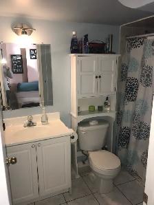 Bright Walkout - on a Ravine, 2 bed 1 bath - Photo 6