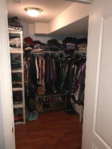 Bright Walkout - on a Ravine, 2 bed 1 bath - Photo 7