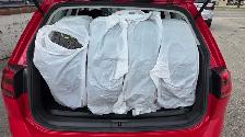 2017 Volkswagen Golf Alltrack HIGHLINE- LOADED-ONE OWNER-CERTIFI - Photo 32