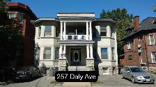 Sandy Hill Bachelor/Studio Apartment for Rent (257 Daly Ave)