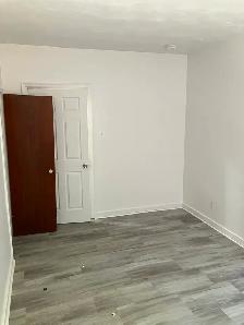 Sandy Hill Bachelor/Studio Apartment for Rent (257 Daly Ave) - Photo 4