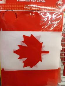 Canada Day Party Accessories Bundle - Photo 2