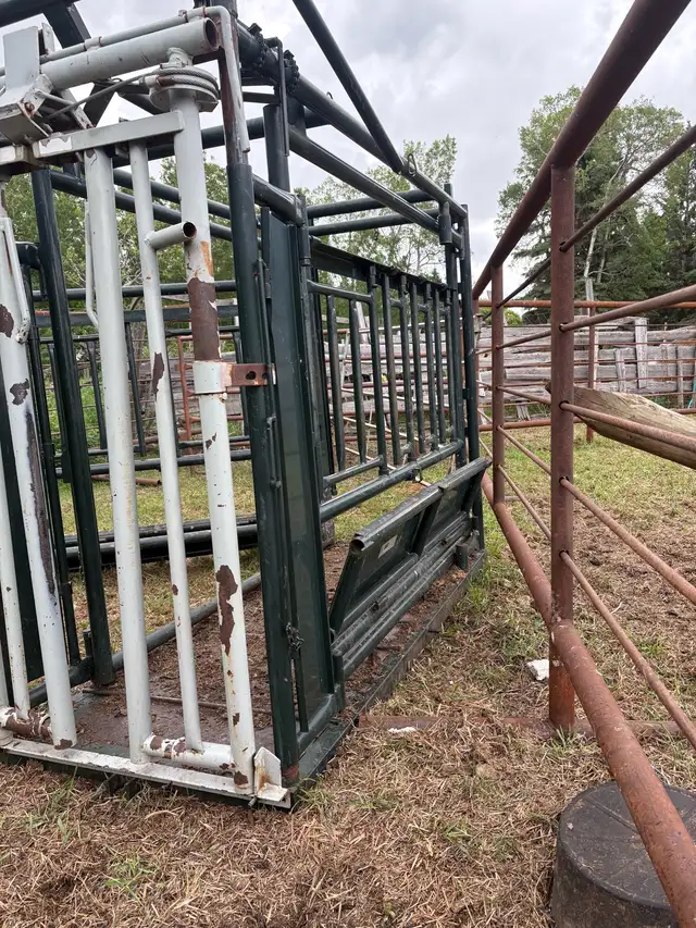 squeeze with palpation cage