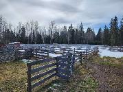 Peaceful Acreage with Heated Shop, Garage & Horse Barn - Photo 8