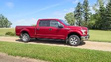 16 Ford F150 FX4 4x4 5.0L Supercrew - Photo 3