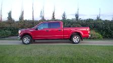 16 Ford F150 FX4 4x4 5.0L Supercrew - Photo 10