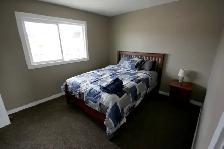 4 Bedroom, Furnished & Pet Friendly - Photo 6