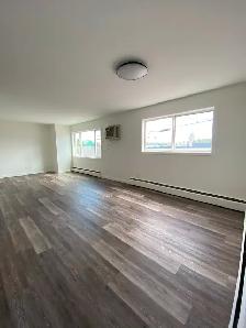 2 Bedroom Apartment Downtown Smithers
