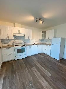 2 Bedroom Apartment Downtown Smithers - Photo 2