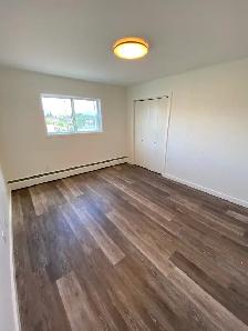 2 Bedroom Apartment Downtown Smithers - Photo 5
