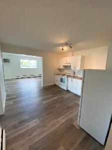 2 Bedroom Apartment Downtown Smithers - Photo 7