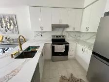 Kitchen Countertop Waterloo/Kitchener - Photo 3
