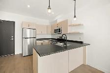 BRAND NEW 2 Bedroom 1 Bathroom apartment - Move in Sept 1! - Photo 3