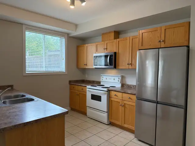 47 Pettitt Drive Lower - 47 Pettitt Drive Lower House for Rent