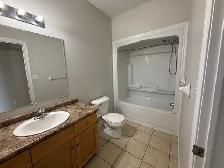 47 Pettitt Drive Lower - 47 Pettitt Drive Lower House for Rent - Photo 8