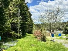 3 BR 1.5 BATHROOM LARGE FAMILY HOME AVAIL JULY 15 EASTERN SHORE - Photo 14