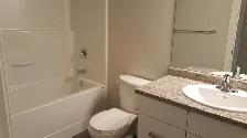 Dallas Town Centre #114 - Photo 13