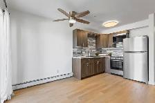 CONDO FOR SALE-$162,900! RECENT RENOS LOW CONDO FEES! - Photo 4